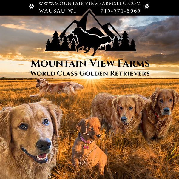 Mountain View Farms LLC