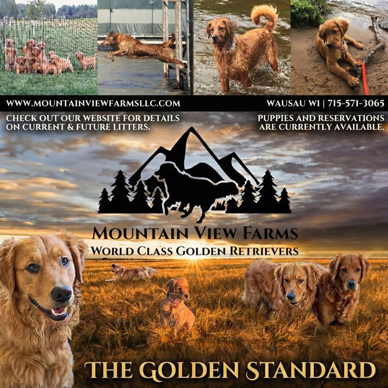 Mountain View Farms LLC